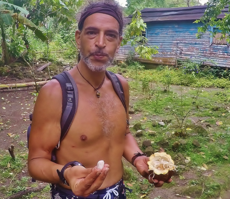 eating a raw cacao fruit in central america 